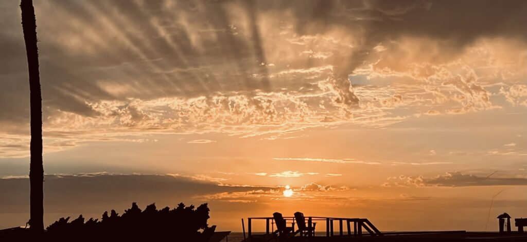 Baja Rooftop Rays